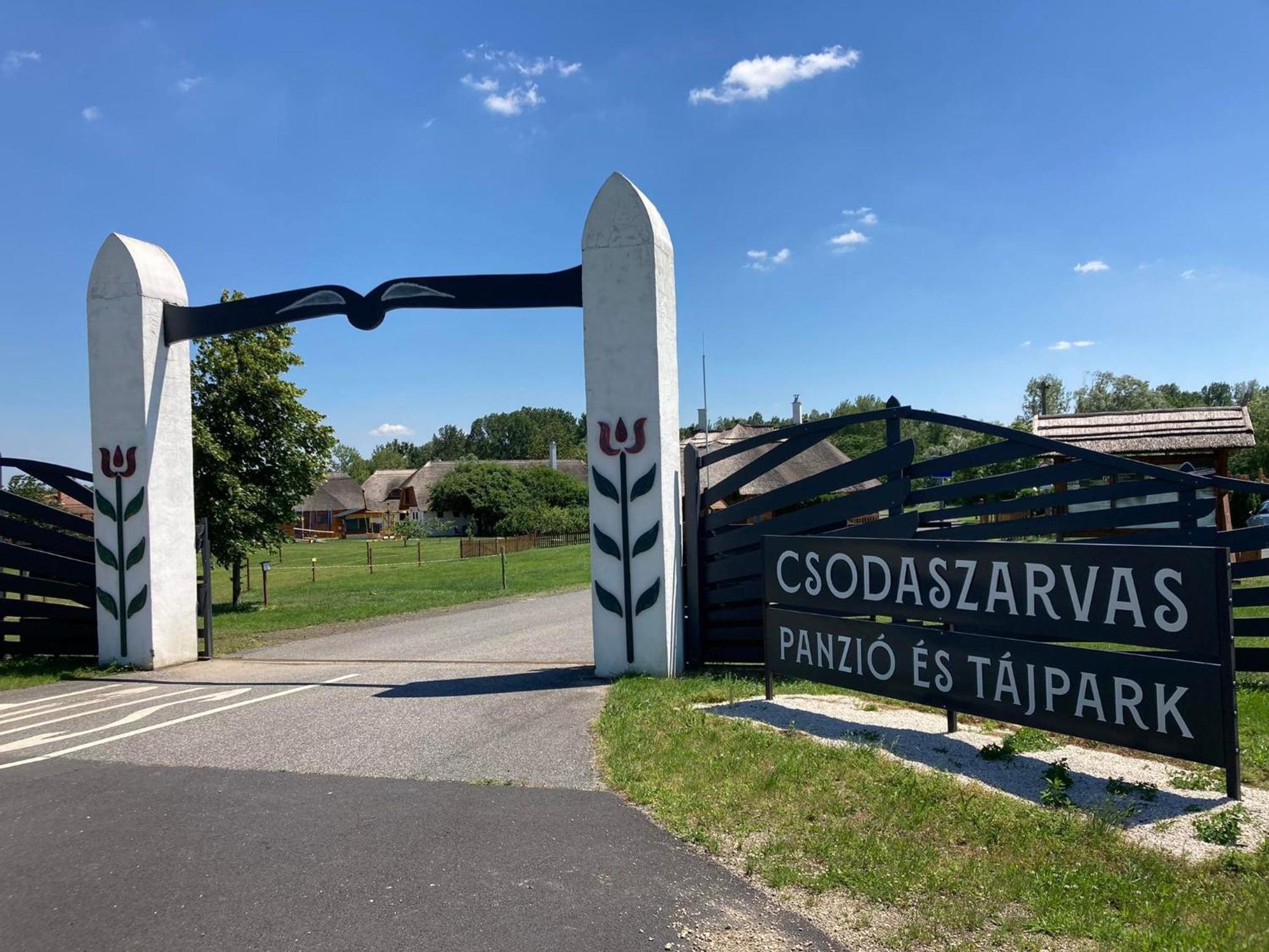 Csodaszarvas Vendeghazak Rabahidveg Eksteriør billede